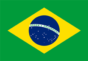 Portugues Brasil